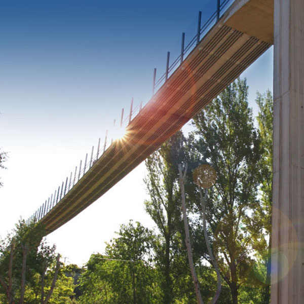 ARC-Bridge-FEAT